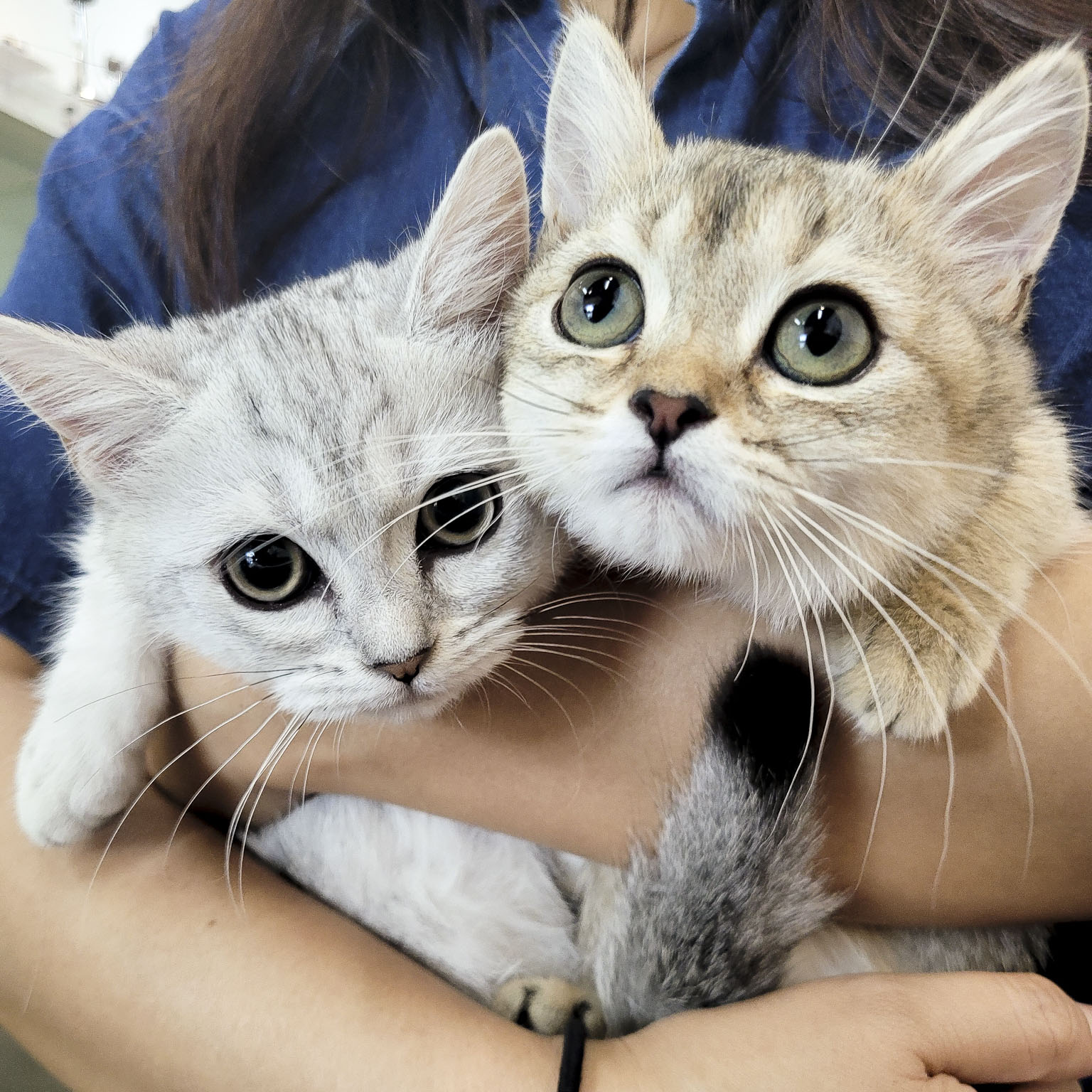KakaoTalk_20250610_171557042_01.jpg